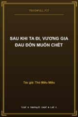 Sau Khi Ta Đi, Vương Gia Đau Đớn Muốn Chết