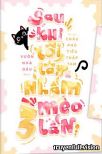Sau Khi Tôi Lấy Nhầm Mèo Ba Lần