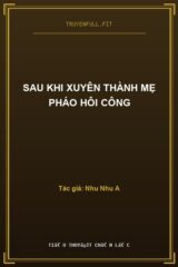 Sau Khi Xuyên Thành Mẹ Pháo Hôi Công