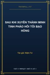 Sau Khi Xuyên Thành Minh Tinh Pháo Hôi Tôi Bạo Hồng