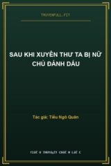 Sau Khi Xuyên Thư Ta Bị Nữ Chủ Đánh Dấu
