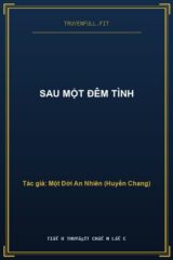 Sau Một Đêm Tình
