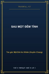 Sau Một Đêm Tình