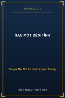 Sau Một Đêm Tình