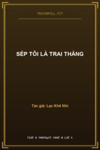 Sếp Tôi Là Trai Thẳng