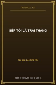 Sếp Tôi Là Trai Thẳng