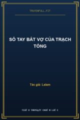 Sổ Tay Bắt Vợ Của Trạch Tổng