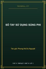 Sổ Tay Sử Dụng Sủng Phi