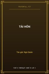 Tái Hôn