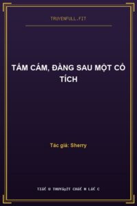 Tấm Cám, Đằng Sau Một Cổ Tích