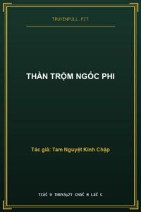 Thần Trộm Ngốc Phi