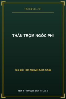 Thần Trộm Ngốc Phi