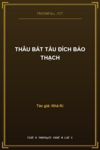 Thâu Bất Tẩu Đích Bảo Thạch