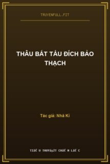 Thâu Bất Tẩu Đích Bảo Thạch