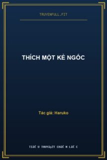 Thích Một Kẻ Ngốc