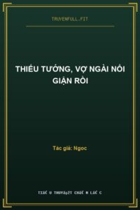 Thiếu Tướng, Vợ Ngài Nổi Giận Rồi