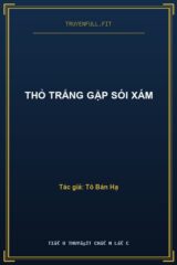 Thỏ Trắng Gặp Sói Xám