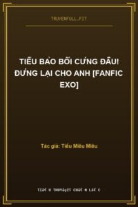 Tiểu Bảo Bối Cứng Đầu! Đứng Lại Cho Anh [Fanfic Exo]
