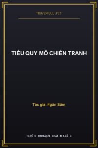 Tiểu Quy Mô Chiến Tranh