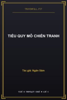 Tiểu Quy Mô Chiến Tranh