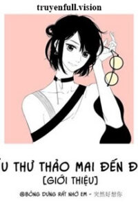 Tiểu Thư Thảo Mai Đến Đây!