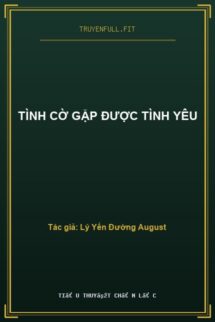 Tình Cờ Gặp Được Tình Yêu