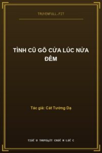 Tình Cũ Gõ Cửa Lúc Nửa Đêm