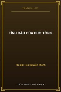 Tình Đầu Của Phó Tổng
