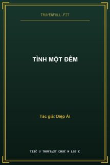 Tình Một Đêm