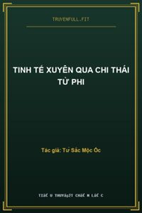 Tinh Tế Xuyên Qua Chi Thái Tử Phi
