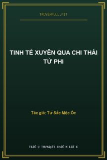 Tinh Tế Xuyên Qua Chi Thái Tử Phi