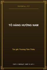 Tô Hàng Hướng Nam