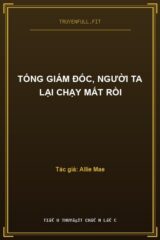 Tổng Giám Đốc, Người Ta Lại Chạy Mất Rồi