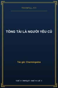 Tổng Tài Là Người Yêu Cũ
