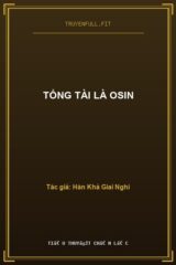 Tổng Tài Là Osin