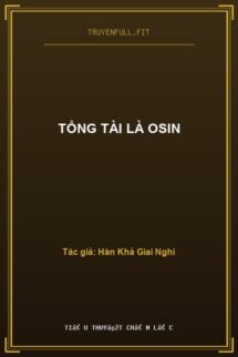Tổng Tài Là Osin