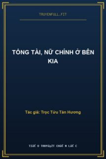 Tổng Tài, Nữ Chính Ở Bên Kia