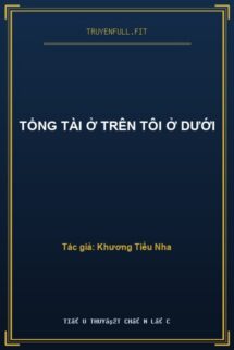 Tổng Tài Ở Trên Tôi Ở Dưới