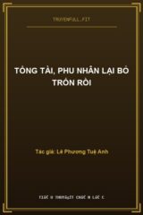 Tổng Tài, Phu Nhân Lại Bỏ Trốn Rồi