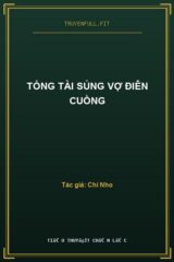 Tổng Tài Sủng Vợ Điên Cuồng