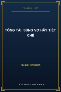 Tổng Tài, Sủng Vợ Hãy Tiết Chế