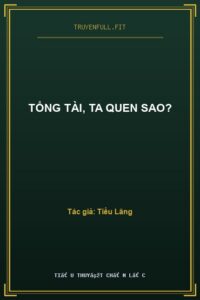Tổng Tài, Ta Quen Sao?