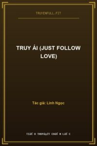 Truy Ái (Just Follow Love)