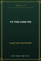 Tư Thái Cung Phi