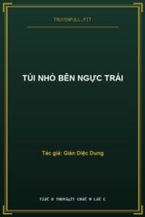 Túi Nhỏ Bên Ngực Trái