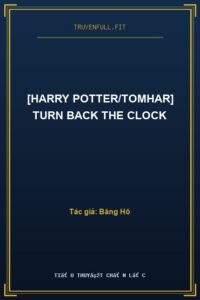 [Harry Potter/TomHar] Turn Back The Clock