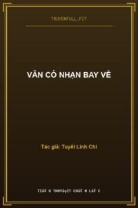 Vẫn Có Nhạn Bay Về
