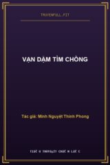 Vạn Dặm Tìm Chồng
