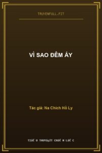 Vì Sao Đêm Ấy