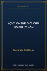 Vợ Ơi Cả Thế Giới Chờ Người Ly Hôn